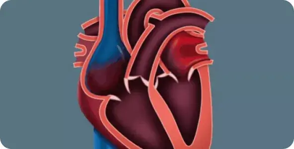 Cardiobalance, Cardio balance, cardio balance comprar, cardiobalance comprar, cardio balance onde comprar, cardiobalance onde comprar, cardiobalance preço, cardio balance preço, cardio balance review, cardiobalance review, cardio balance é bom, cardiobalance é bom, cardio balance funciona, cardiobalance funciona